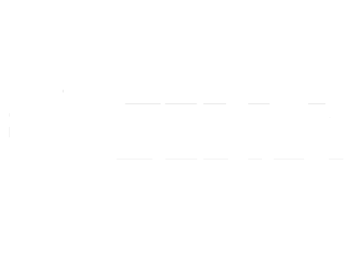 Logo Zebra